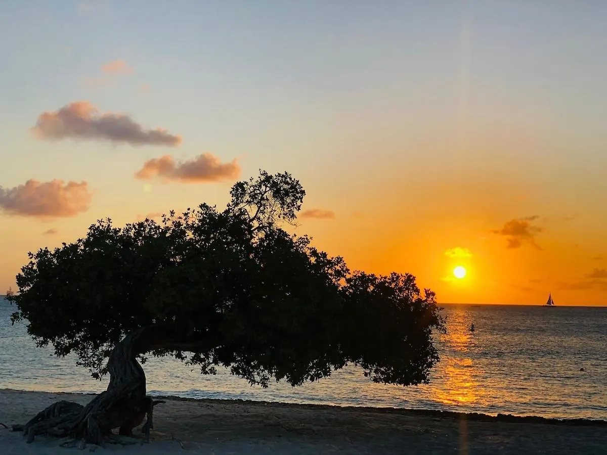 Vila Caribbean Breeze Oranjestad Aruba