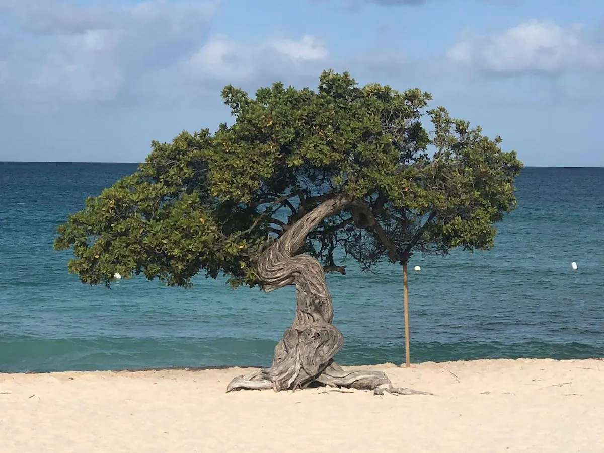 Caribbean Breeze Villa Oranjestad Aruba